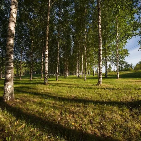Polku Imatra