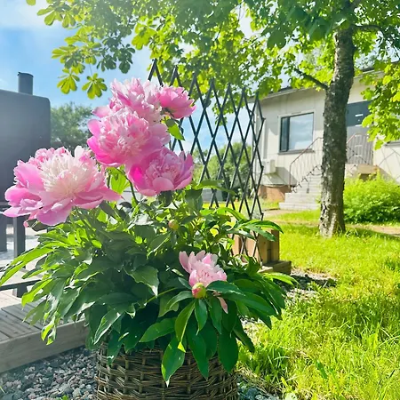 Polku Apartman *